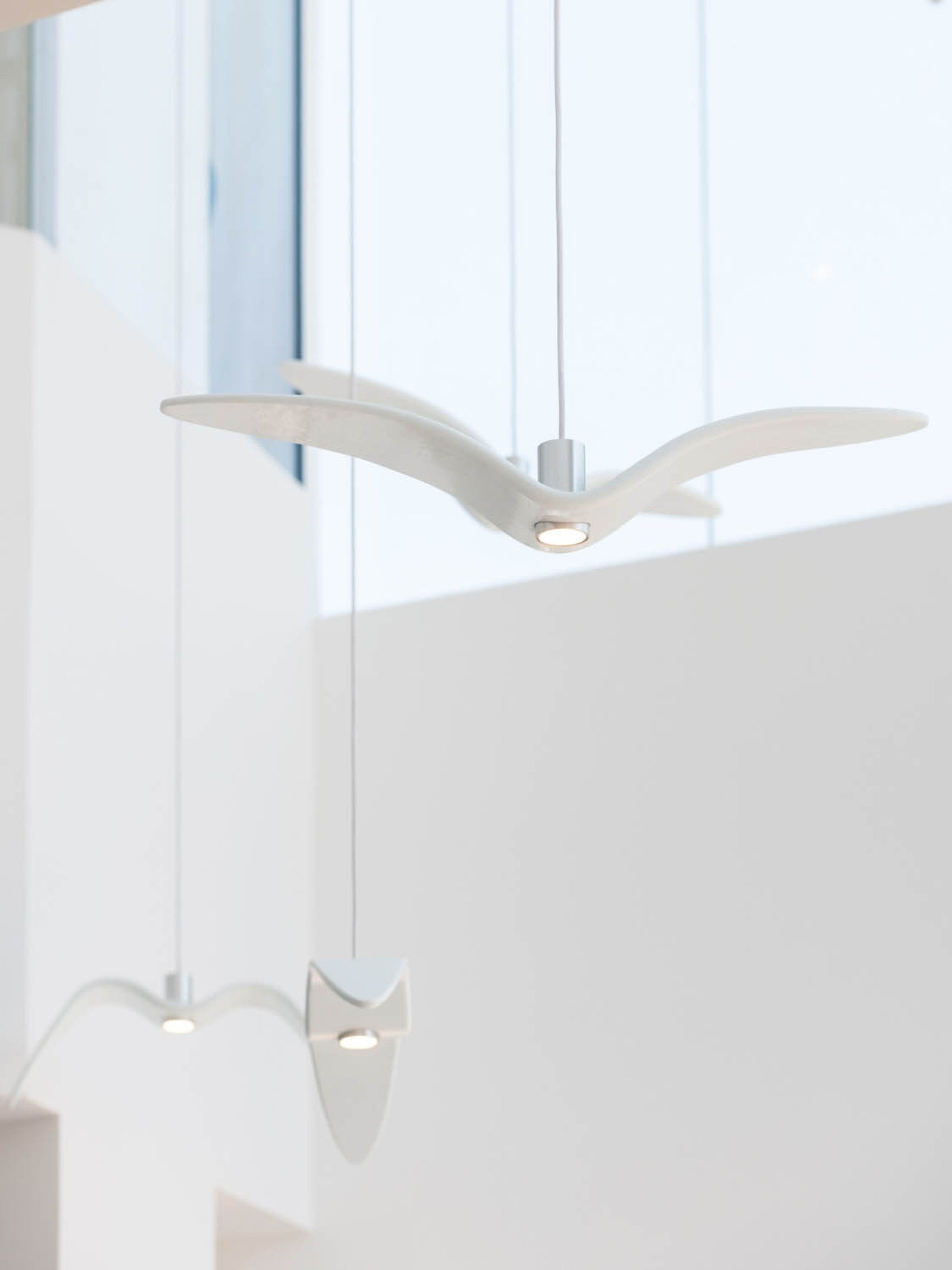 NIGHT BIRDS PC964 - Pendant Light