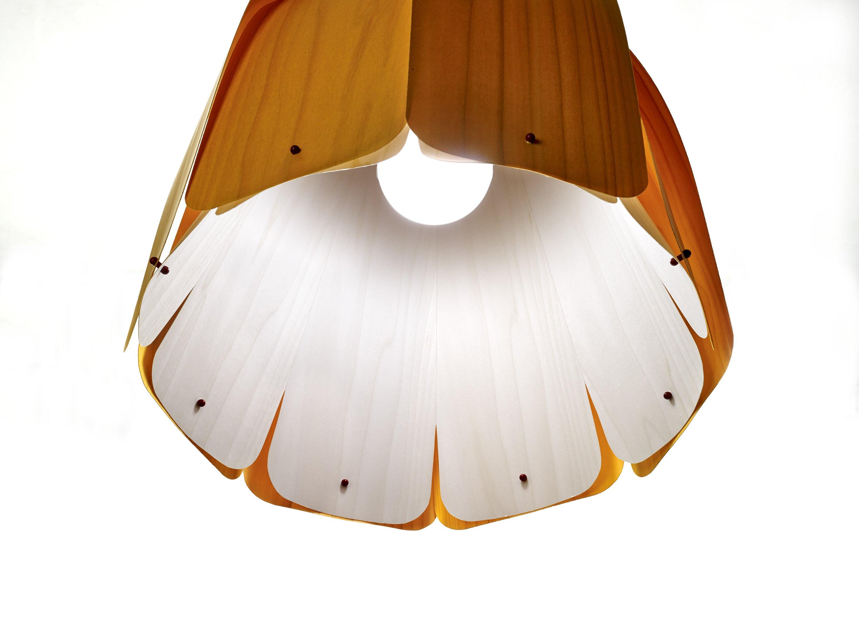 DOMO - Pendant Light - Luminesy