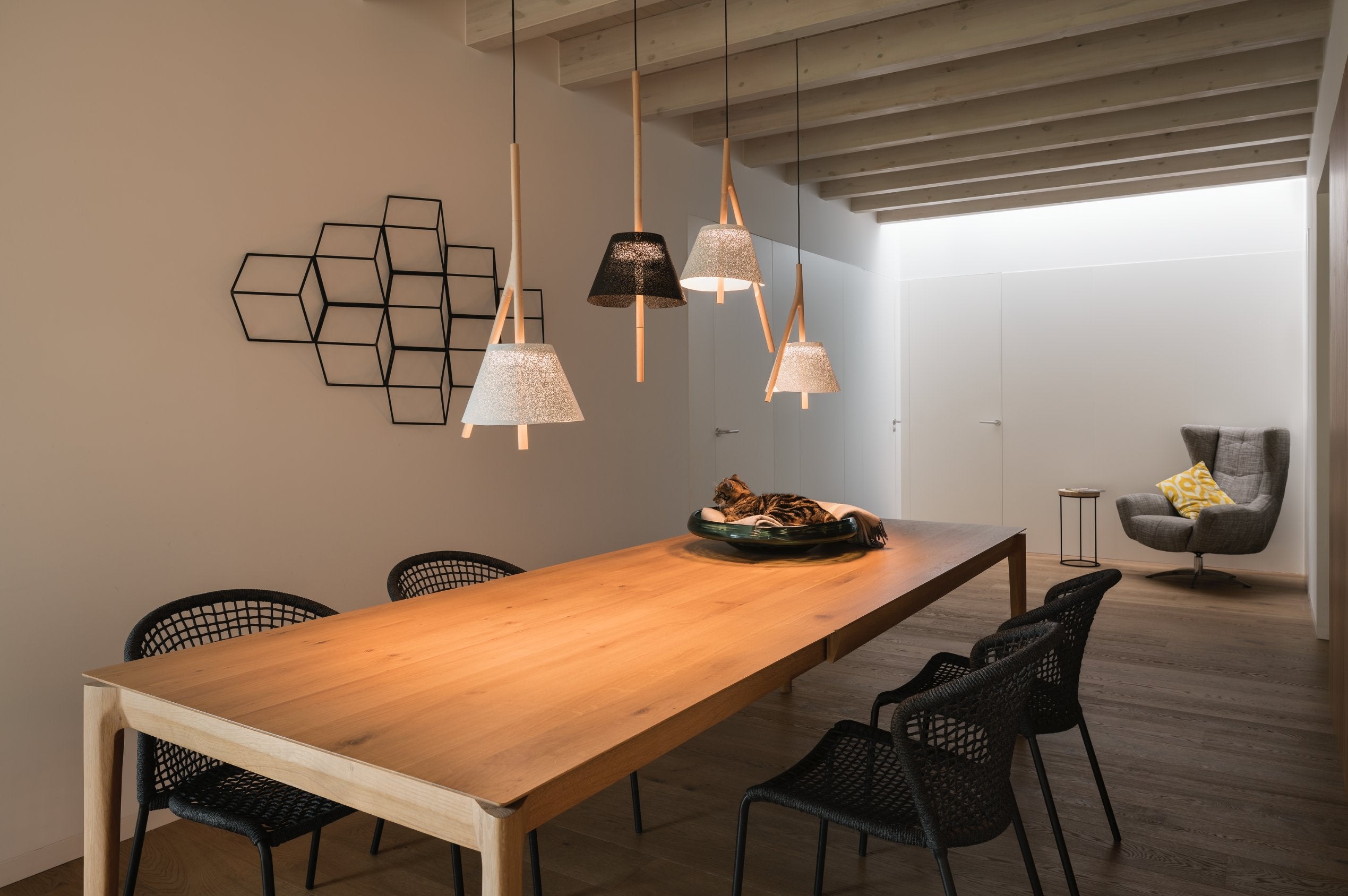 CAMBO G - Pendant Light